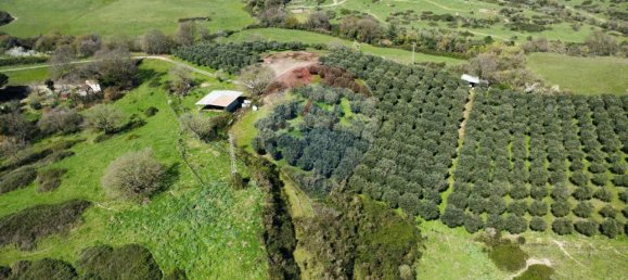 1 room Land in Castelnuovo di Porto, Italy No. 14864 10