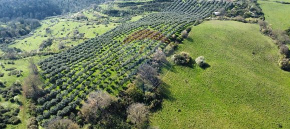 1 room Land in Castelnuovo di Porto, Italy No. 14864 8