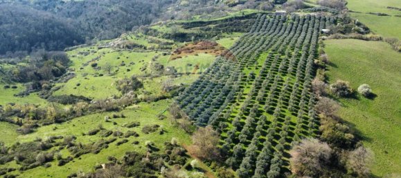 1 room Land in Castelnuovo di Porto, Italy No. 14864 16