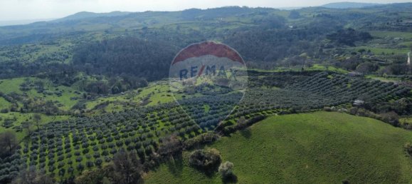 1 room Land in Castelnuovo di Porto, Italy No. 14864 13