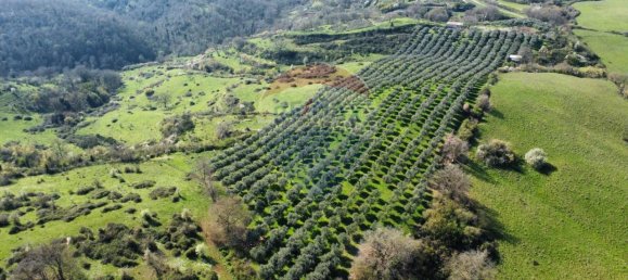 1 room Land in Castelnuovo di Porto, Italy No. 14864 7