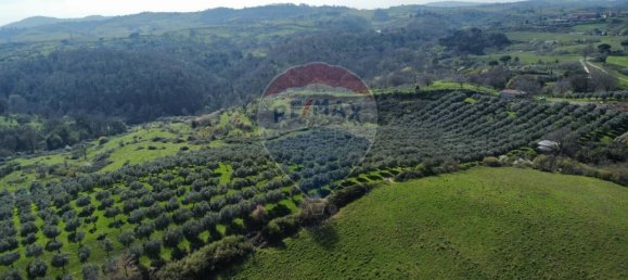 1 room Land in Castelnuovo di Porto, Italy No. 14864 14