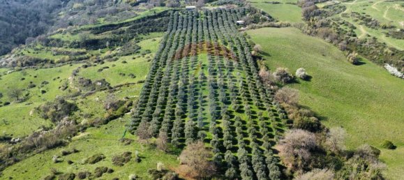 1 room Land in Castelnuovo di Porto, Italy No. 14864 5