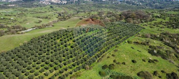 1 room Land in Castelnuovo di Porto, Italy No. 14864 15