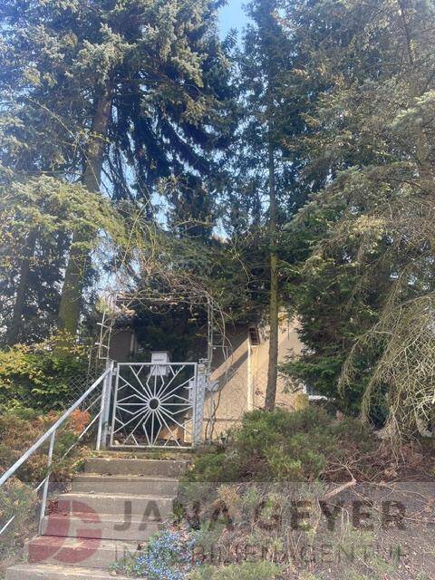 3 bedrooms House in Wittenberg, Germany No. 295450