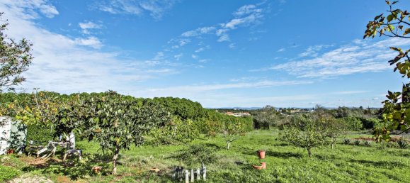 4 غرف نوم منزل في Silves, Portugal رقم 97759 29