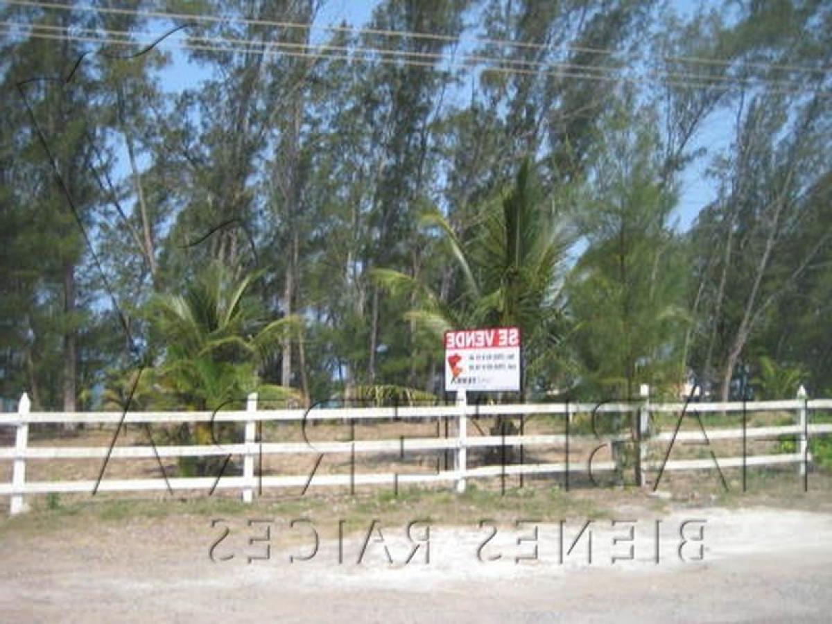 Terrain à Veracruz, Mexico No. 202889