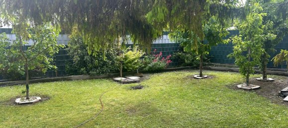 5 rooms Bungalow in Guntramsdorf, Austria No. 221087 25