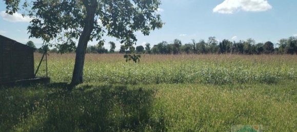 4 Schlafzimmer Haus in Udine, Italy, Nr. 338215 13