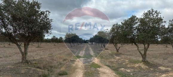 55000m² Land in Odemira, Portugal No. 40250 5