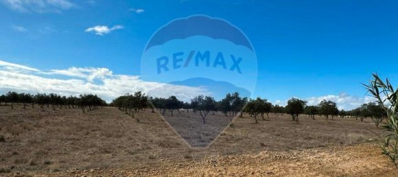 55000m² Land in Odemira, Portugal No. 40250 6