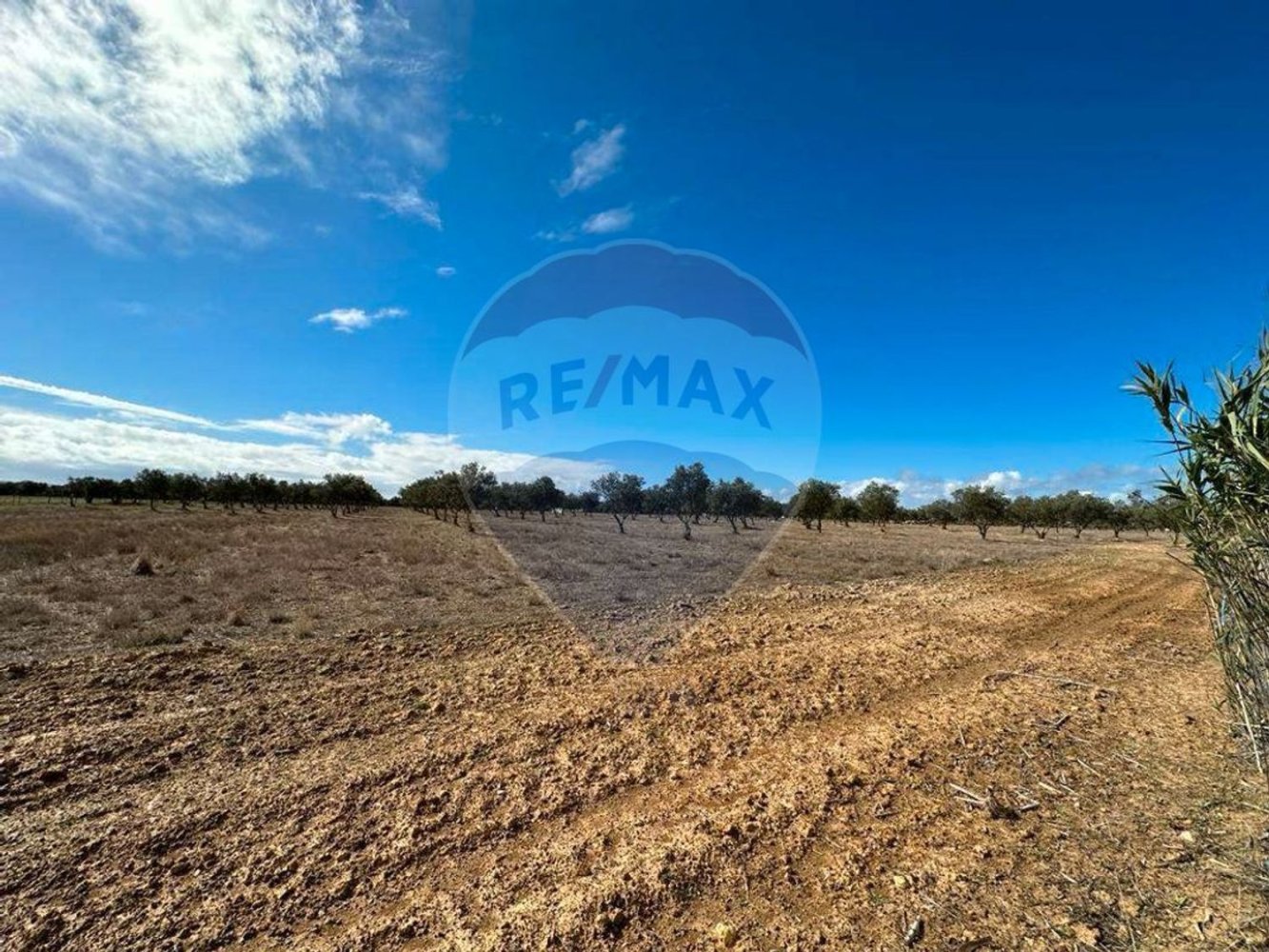 55000m² Land in Odemira, Portugal No. 40250