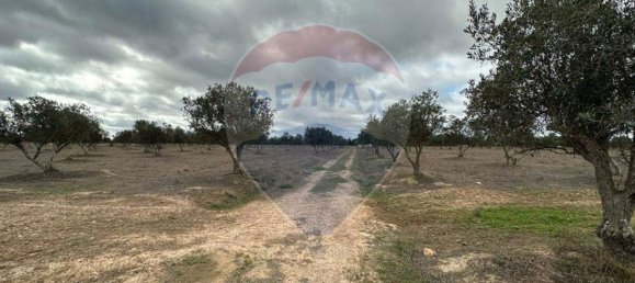 55000m² Land in Odemira, Portugal No. 40250 10