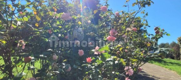 4 bedrooms Villa in Catanzaro, Italy No. 76200 7