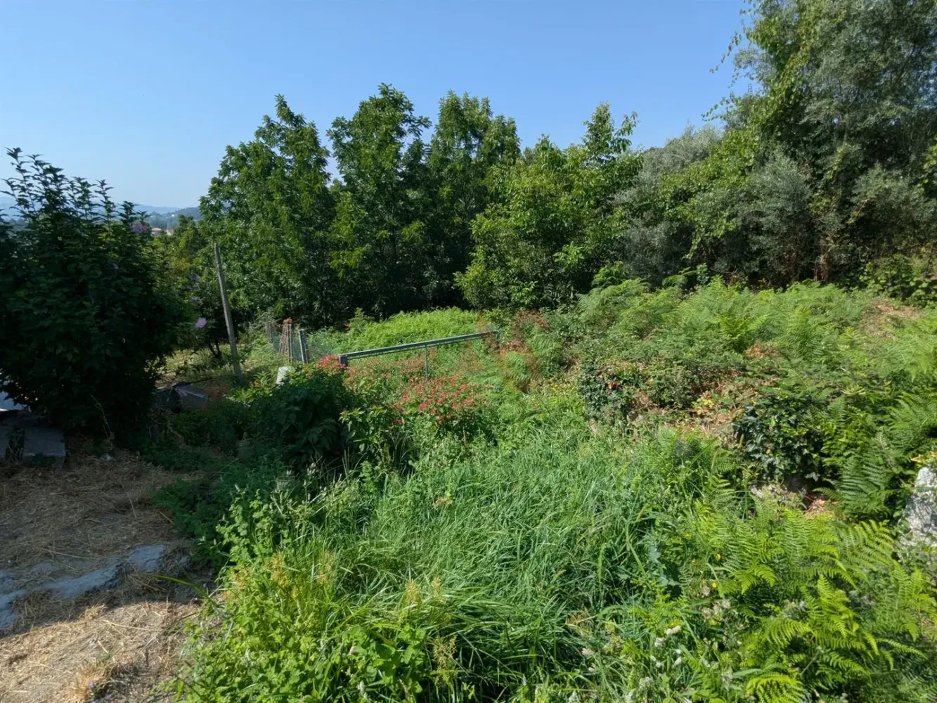  قطعة أرض في Travassos, Portugal رقم 251559