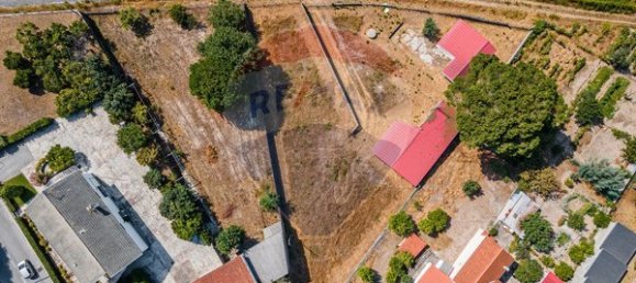 Земельный участок 2003м² в Тондела, Португалия № 52723 12