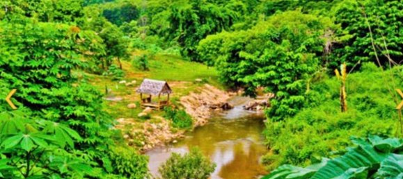 Grundstück in Chiang Mai, Thailand, Nr. 26957 13