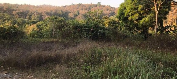 Grundstück in Chiang Mai, Thailand, Nr. 26957 16