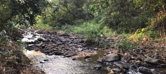 Grundstück in Chiang Mai, Thailand, Nr. 26957 2