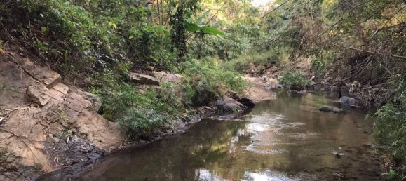 Grundstück in Chiang Mai, Thailand, Nr. 26957 14