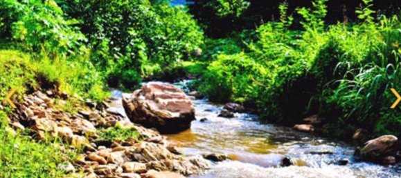 Grundstück in Chiang Mai, Thailand, Nr. 26957 11