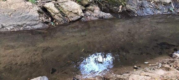 Grundstück in Chiang Mai, Thailand, Nr. 26957 4