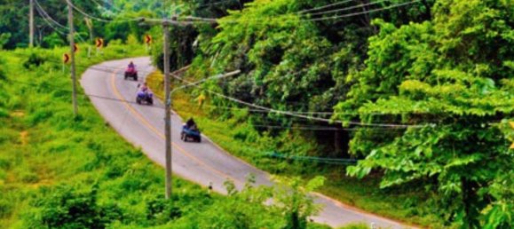 Grundstück in Chiang Mai, Thailand, Nr. 26957 12