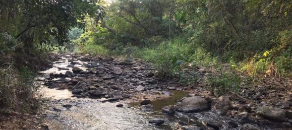 Grundstück in Chiang Mai, Thailand, Nr. 26957 3