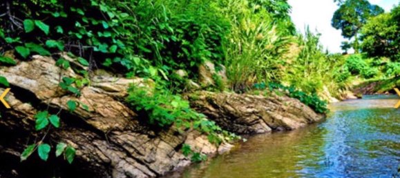 Grundstück in Chiang Mai, Thailand, Nr. 26957 8