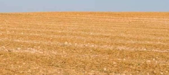 2 bedrooms House in Villaga, Italy No. 293871 22