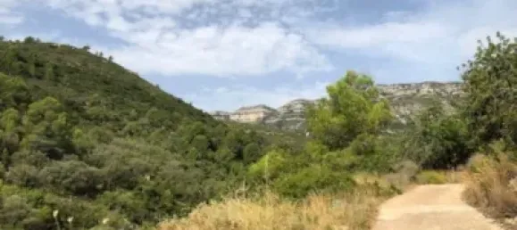 Grundstück in Alcanar, Spain, Nr. 144782 7