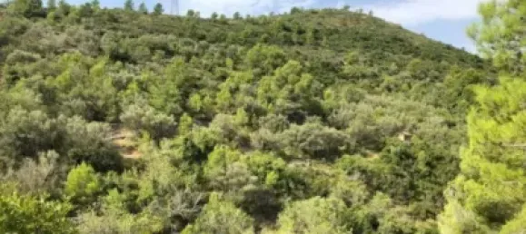 Grundstück in Alcanar, Spain, Nr. 144782 3