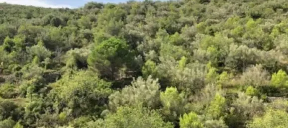 Grundstück in Alcanar, Spain, Nr. 144782 4