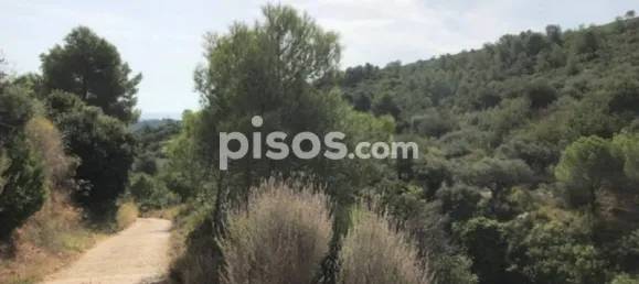 Grundstück in Alcanar, Spain, Nr. 144782 5