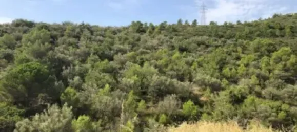 Grundstück in Alcanar, Spain, Nr. 144782 6