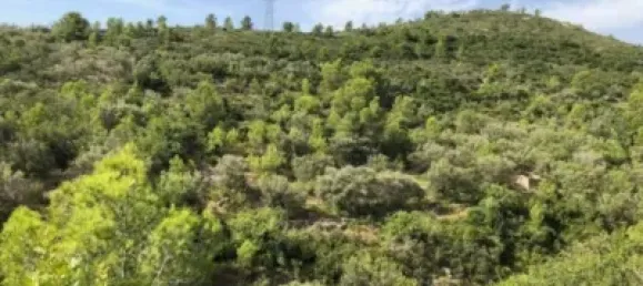 Grundstück in Alcanar, Spain, Nr. 144782 2