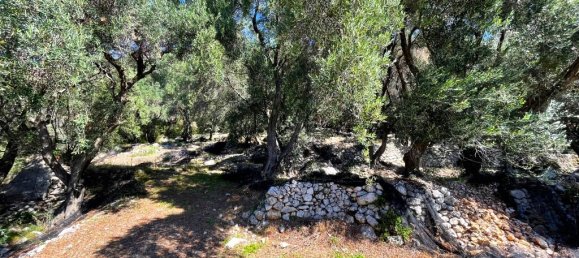 290m² Villa for sale in Corfu, Central Corfu and Diapontian Islands, Corfu, Ionian Islands, Peloponnese, Western Greece and the Ionian, Greece № 96709 19