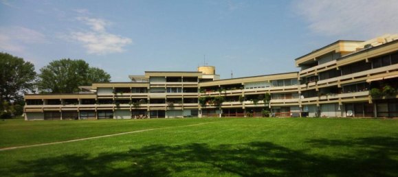 Studio in Purbach am Neusiedler See, Austria No. 242946 11