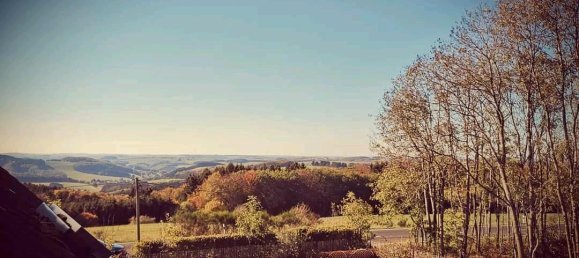 4 bedrooms Farm in Rhineland-Palatinate, Germany No. 290910 14