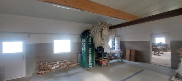 4 bedrooms Farm in Rhineland-Palatinate, Germany No. 290910 24