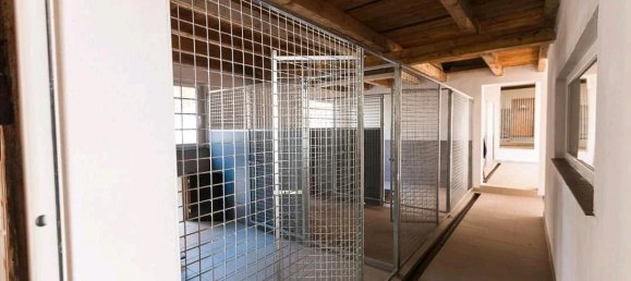 4 bedrooms Farm in Rhineland-Palatinate, Germany No. 290910 13