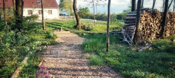 4 bedrooms Farm in Rhineland-Palatinate, Germany No. 290910 28