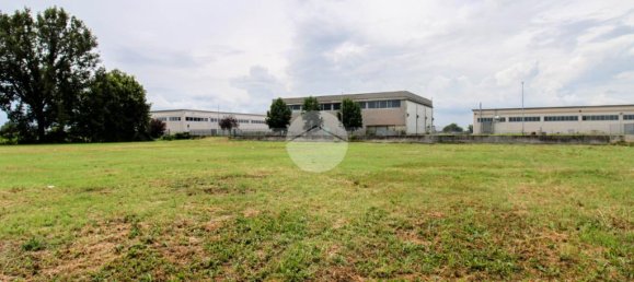 5980m² Land in Fiesco, Italy No. 271795 9