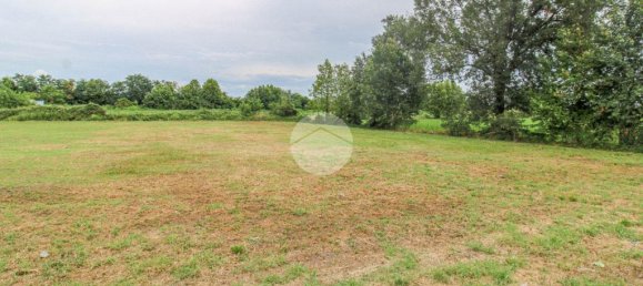 5980m² Land in Fiesco, Italy No. 271795 27