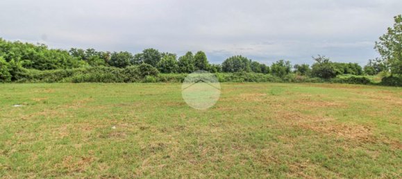 5980m² Land in Fiesco, Italy No. 271795 7