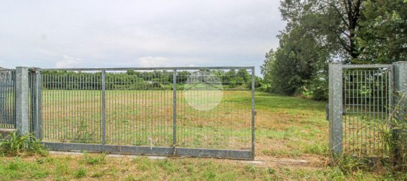 5980m² Land in Fiesco, Italy No. 271795 2