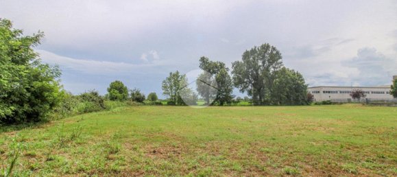 5980m² Land in Fiesco, Italy No. 271795 11