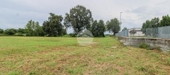 5980m² Land in Fiesco, Italy No. 271795 17