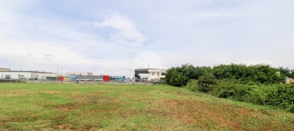 5980m² Land in Fiesco, Italy No. 271795 14