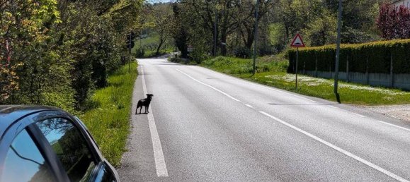 2 Schlafzimmer Villa in Casoli, Italy, Nr. 277308 34